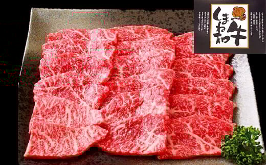 
しまね和牛 モモ(焼肉用) 750g【和牛 牛肉 牛 肉 もも にく お祝い ご褒美 贅沢 特別 ご馳走 焼肉 やきにく】
