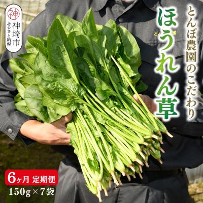 ふるさと納税 神埼市 【定期便6回】ほうれん草 約1kg(150g x 7袋)【合計 約6kg】(H091120)