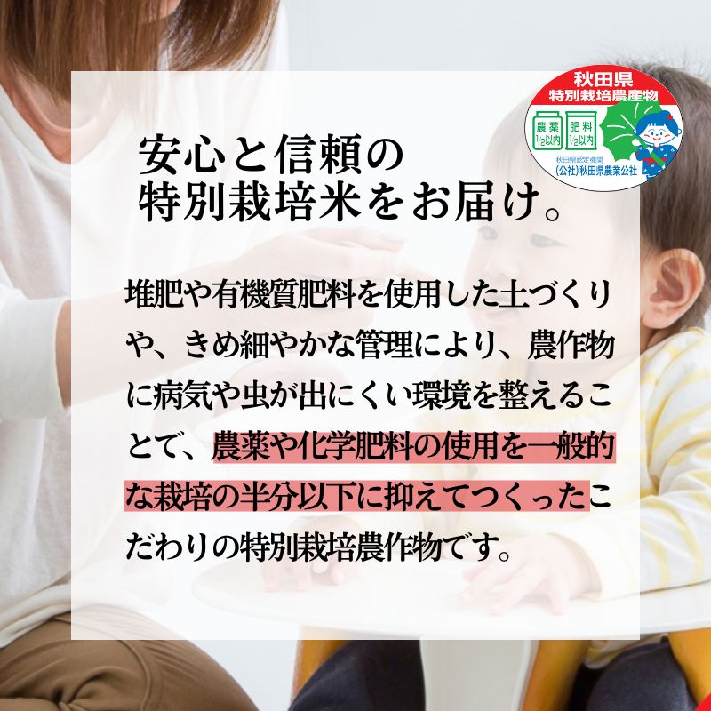 白米 特別栽培米 秋田県産 あきたこまち 米屋が認めたお米 「かとうくん」20kg 5kg×4袋 令和6年産