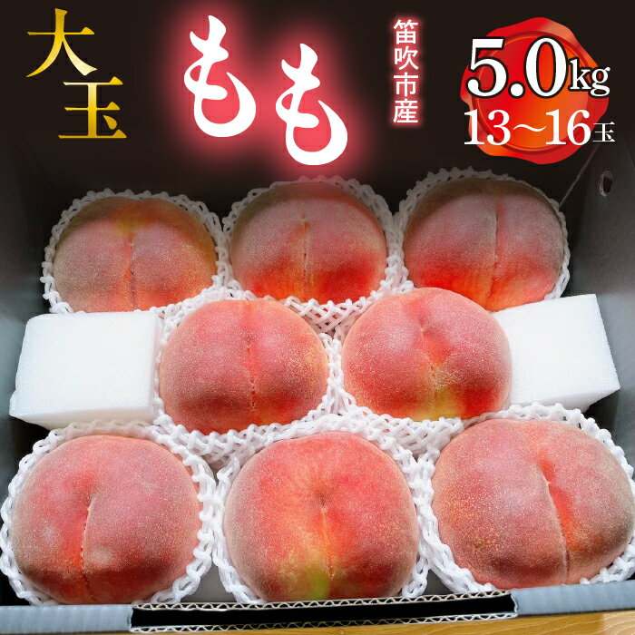 【ふるさと納税】＜25年発送先行予約＞ 笛吹市産　大玉もも　5.0kg(13～16玉) ふるさと納税 桃 もも 特選 大玉 笛吹市 国産 人気 期間限定 産地直送 新鮮 2025年発送 果物 フルーツ 朝どれ 旬 夏 おいしい 白鳳系 白桃系 6月 7月 8月 発送 山梨県 送料無料 227-010