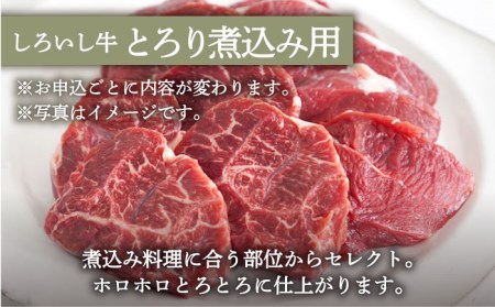 【牧場直送】人気返礼品セット！しろいし牛 手ごねハンバーグ 5個＆とろり煮込み用 700g【有限会社佐賀セントラル牧場】[IAH181]