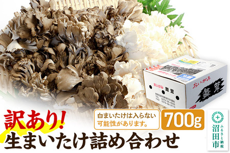 【訳あり】おいがみ舞茸園 生まいたけ詰め合わせ おいがみ舞茸園