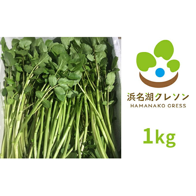 【ふるさと納税】浜名湖クレソン 1kg【配送不可：北海道・沖縄・離島】　朝採れ ハーブ