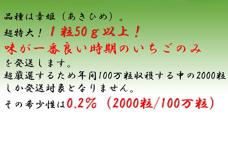 超特大いちご(章姫)　400g以上(6〜8粒、1粒50g以上)　×2箱 ・O046 ／オオダケイチゴ 