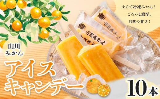 A319 山川みかんアイスキャンデー 100ml 10本 セット みかん アイスキャンデー アイスキャンディー フルーツ アイス アイスバー デザート 果物 福岡県 みやま市