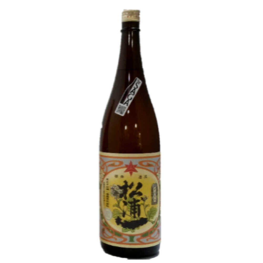【ふるさと納税】【The SAGA 認定酒】松浦一 特別純米酒 720ml / 佐賀県 / 一般社団法人龍乃[41ANAC042]