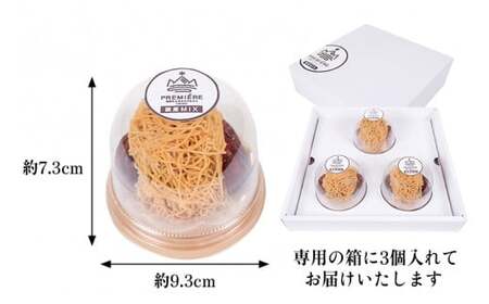 【2025年9月ごろ予約受付再開予定】1mm極細！とろけるモンブラン「地栗もんぶらん プルミエmini(MIX)」×3個　添加物不使用 しまんと地栗 国産栗 和栗 栗スイーツ 渋皮煮 贈りもの ギフト