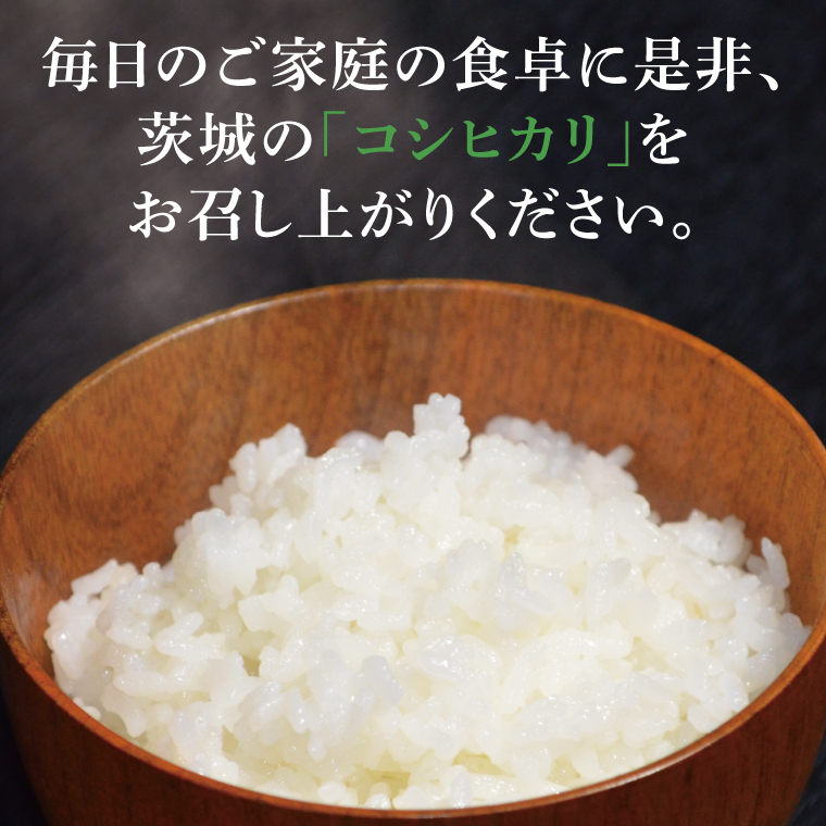 【茨城県共通返礼品】令和7年産 茨城県産 無洗米コシヒカリ15kg（5kg×3袋）【お米 米 こしひかり 無洗米 ごはん 茨城県】（03-53-1）