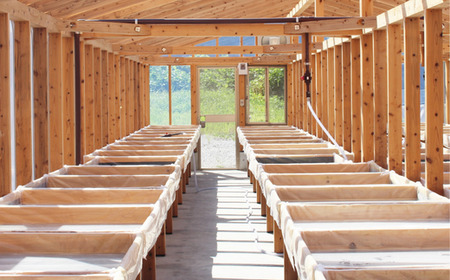 田野屋紫蘭の完全天日塩 清流安田川が育む土佐の海と太陽で育てた2種類セット 田野屋紫蘭 塩 完全 天日塩 セット 2種 100g 2袋 しお 荒塩 あら塩 天然 料理 調味料 食塩 詰め替え ミネラル