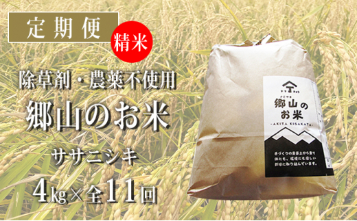 
定期便 4kg×11ヶ月 農薬・除草剤不使用 体に優しいササニシキ「郷山のお米」（2kg×2袋）
