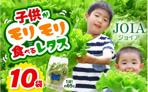 苦くな～い！野菜ぎらいの子もモリモリ食べるやさしいレタス 約65g×10袋（栽培期間中農薬不使用・洗わず食べられる） 【野菜 生野菜 レタス サラダ お弁当 水耕栽培 洗わず食べられる 時短 付け合わせ】[m40-a018]