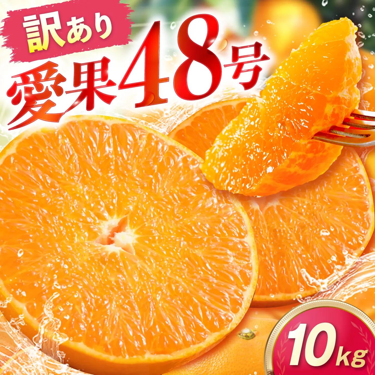 みかん 訳あり 愛果48号 約10kg サイズ不揃い みかん BJAZ014 