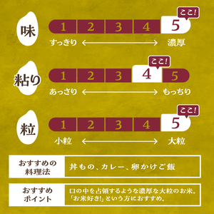 【先行予約】【令和8年度新米】こぴっと米【極】4kg 大粒厳選・1等特別栽培米 100％ [h020]