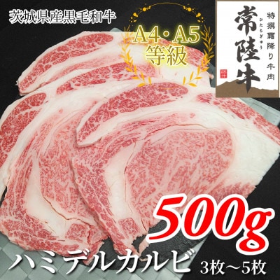 【常陸牛】ハミデルカルビ 500g(3～5枚)【配送不可地域：離島・沖縄県】