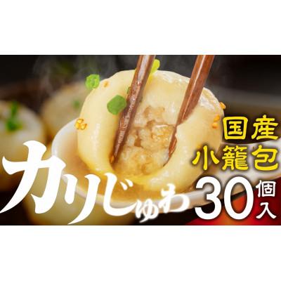 ふるさと納税 豊橋市 【国産】焼き小籠包30個入