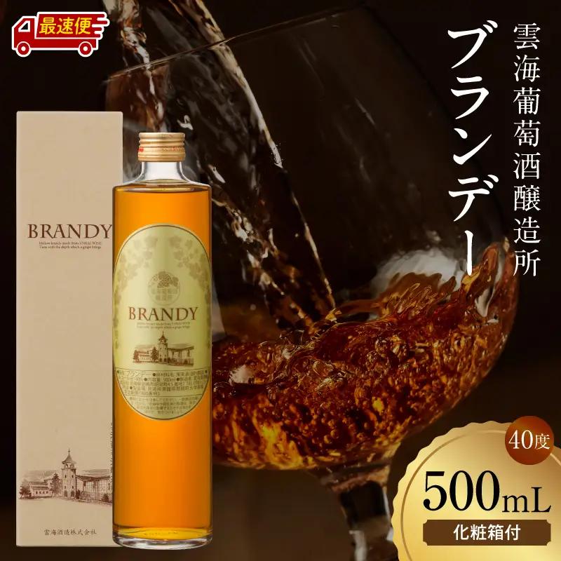 ブランデー 熟成 ブランデー[【最速便】雲海葡萄酒醸造所 500ml 国産 国産ブランデー 酒 洋酒 お酒 アルコール 果実酒 葡萄酒 蒸留 贈答用 贈り物 ギフト プレゼント 記念日 誕生日 イベント 手土産]