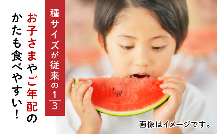 【先行予約】種ごと 食べられる 小玉スイカ 2玉 ピノガール【とみおか農園】 [ZEM003]