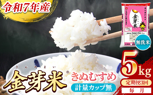 【定期便】BG無洗米・金芽米きぬむすめ 5kg×3ヵ月  （毎月）計量カップなし【令和7年産 3ヶ月 計15kg 東洋ライス 健康 島根県 安来市】【価格改定X】