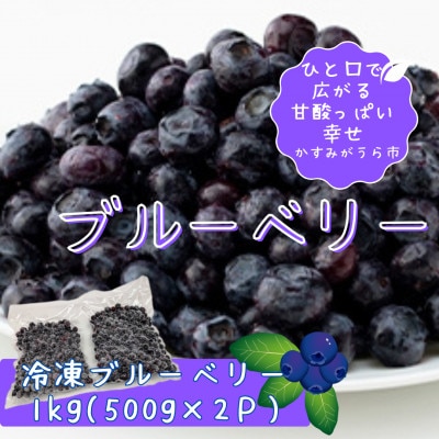 【茨城県産】冷凍ブルーベリー1kg(500g×2パック)【配送不可地域：離島・沖縄県】