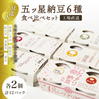 【ふるさと納税】豆達人の五ッ星納豆6種食べ比べ2セット【大粒の国産大豆】宮城しろめ・秘伝豆・紅大豆・茶豆・光黒豆【配送不可地域：離島】【1677847】