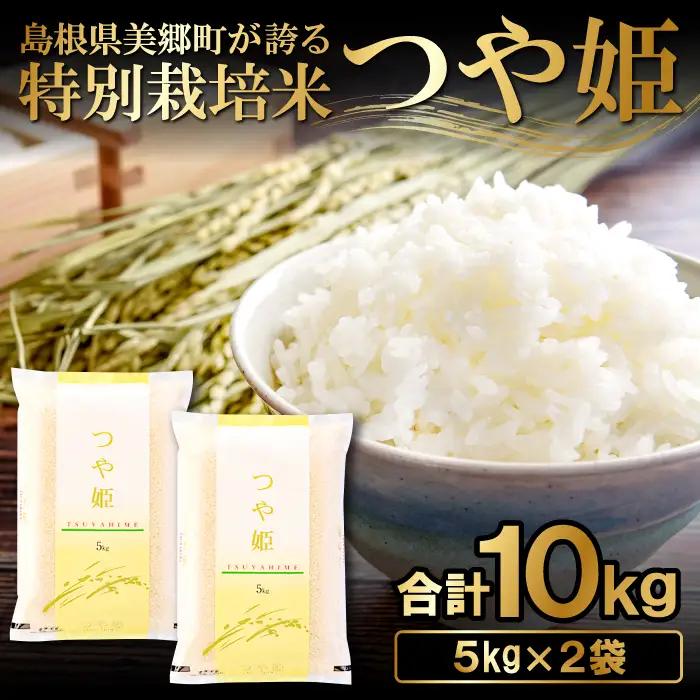 〈先行予約〉新米 令和6年産 美郷町産 特別栽培米 つや姫 10kg (5kg×2袋) 【お米 10kg 5kg×2袋 精米 白米 ブランド米 つや姫 特別栽培米 美郷町産 お米 先行予約 2024年