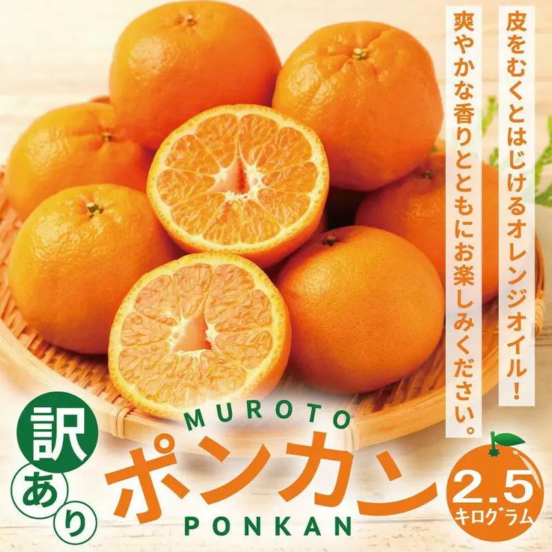 【室戸産ポンカン】冬の柑橘ポンカン 2.5kg