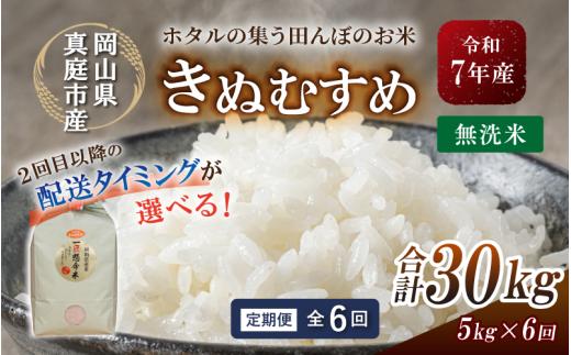 ＜定期便 全6回＞令和7年新米 真庭市産きぬむすめ 無洗米 5kg×6回 / お米 国産 岡山県 米 人気 ブランド 2025年産 【tkns-tkb020-cho】