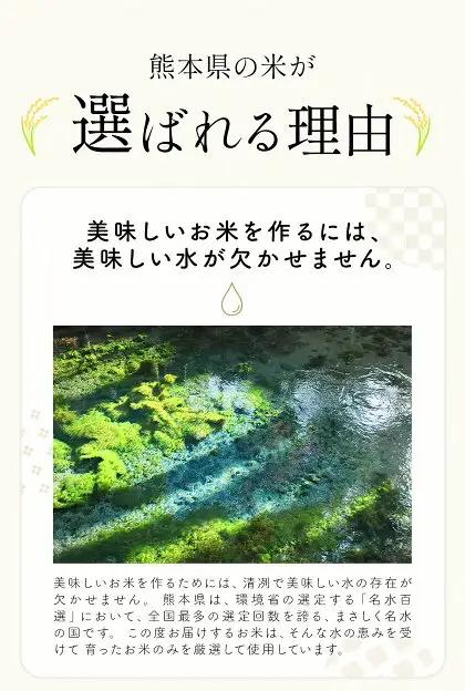 【12ヶ月定期便】米 南関町 単一原料米 (ひのひかりorにこまるorくまさんの輝き)  無洗米 5kg《お申込み翌月から出荷》熊本県産 国産 無洗米 こめ コメ 5キロ