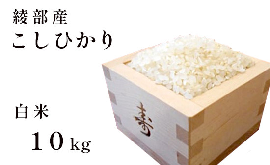 
綾部産 コシヒカリ 10kg 白米 精米 お米 米 国産 京都府産 綾部 こしひかり
