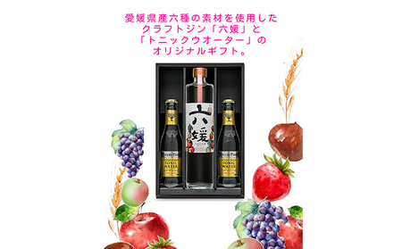 道後ジンセット 六媛 クラフトジン トニック付 道後ジンセット