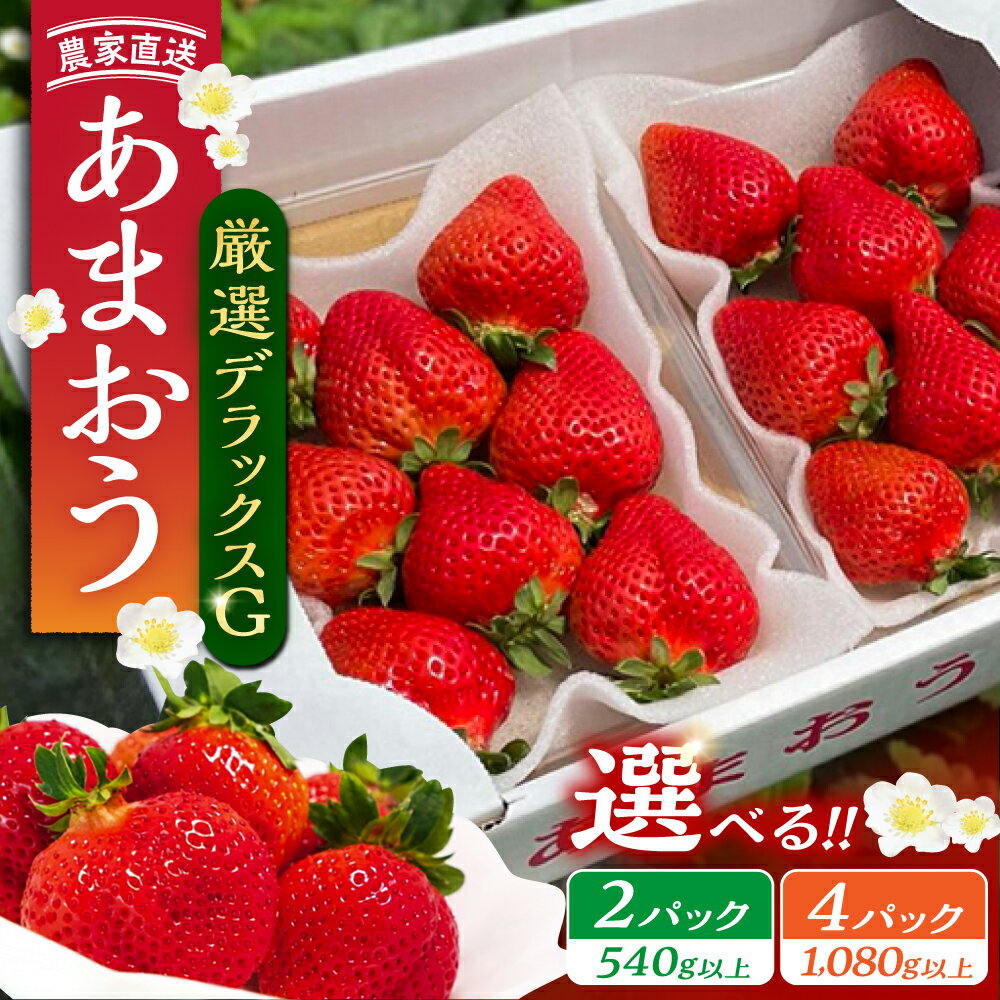 【ふるさと納税】【先行予約】あまおう 厳選デラックスG 540g 1080g 2パック 4パック いちご《豊前市》【内藤農園】[VAB001] 土耕栽培 くだもの 果物