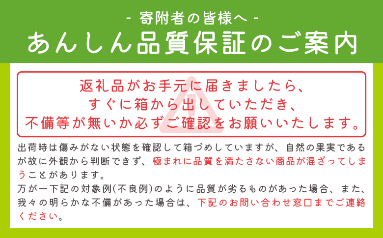 【香南市】マスクメロン2玉入り2.8kg以上 家庭用 青肉 家庭用 2玉