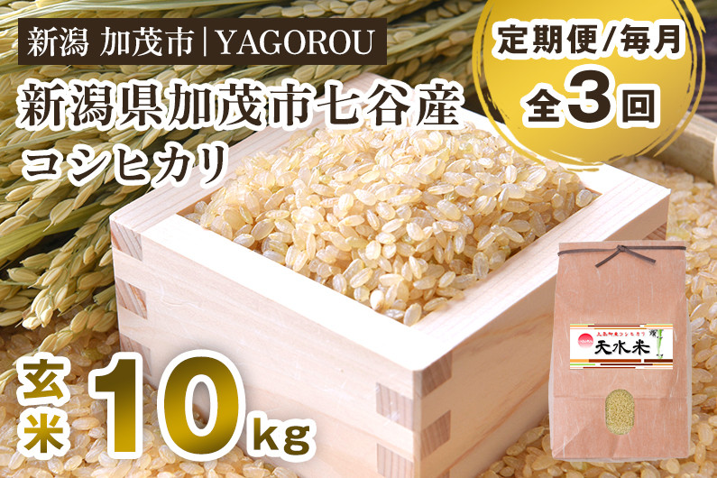 
                  【令和8年産新米先行予約】【定期便3ヶ月毎月お届け】新潟県加茂市 七谷産コシヒカリ 玄米10kg 《10月上旬～順次出荷》 新潟産コシヒカリ 豊かな山水で育った天水米 加茂市 YAGOROU ヤゴロウ
                