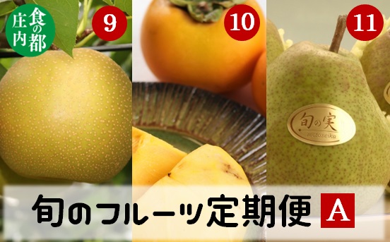 食の都庄内【令和7年産】《9・10・11月お届け-A》旬のフルーツの3ヶ月定期便