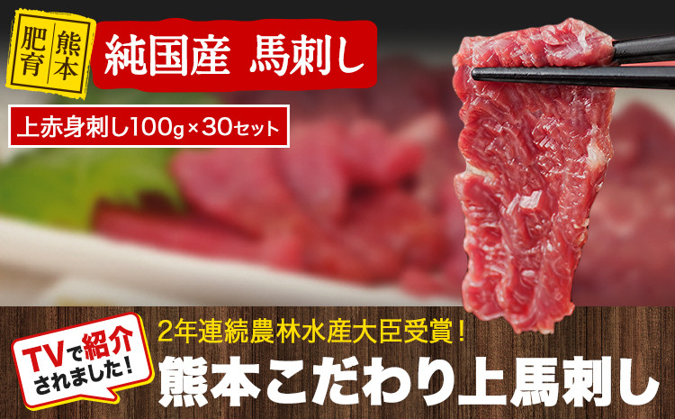 
            上赤身馬刺し100g×30セット(10ml×30袋)《10月上旬-12月中旬出荷》 熊本県 玉名郡 玉東町 馬刺し 国産 赤身 送料無料 肉 タレ付き 3000g 牛肉よりヘルシー
          