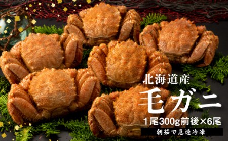 【北海道産】『冷凍』毛がに300g前後×6杯【急速冷凍】【52001502】
