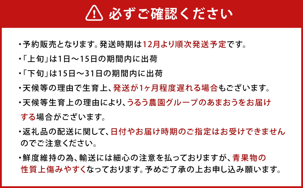 【アフター保証】うるう農園 あまおう DX等級 4パック （約1140g）【2026年12月上旬～2027年1月下旬発送予定】 いちご イチゴ 苺 フルーツ 果物