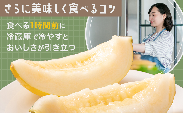 キンショーメロン 4kg(6〜9玉) メロン《4月上旬-7月上旬頃出荷》熊本県 菊池市 果物 フルーツ 金鐘 ノーネットメロン 黄色いメロン 菊池市産 熊本県産 九州産 送料無料