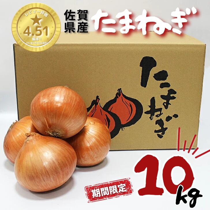 【ふるさと納税】【期間限定】佐賀県産 たまねぎ 10kg 旬 野菜 玉ねぎ 九州 佐賀県 佐賀市：A095-054