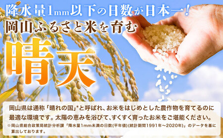 晴れの国岡山の無洗米 15kg (5kg×3袋) 岡山県産 無洗米 無洗 米 矢掛町《9月中旬-10月末頃出荷(土日祝除く)》米 コメ