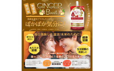【全3回】魅惑ザクロ GINGER Boost(福岡市返礼品)【3袋入り】