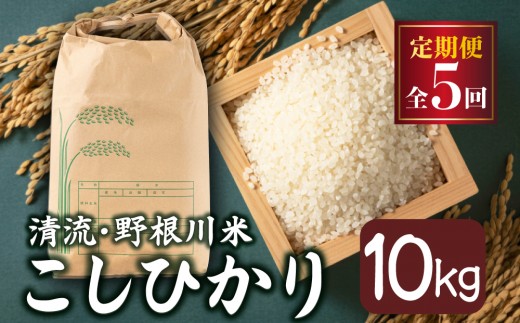 【先行予約】 ＜定期便全5回＞令和8年産 野根川米10kg こしひかり 米 国産 コメ