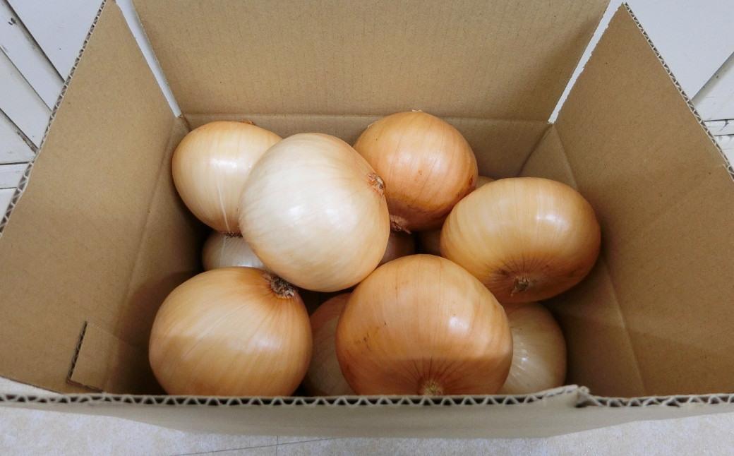 菊陽町産 玉ねぎ 約3kg	