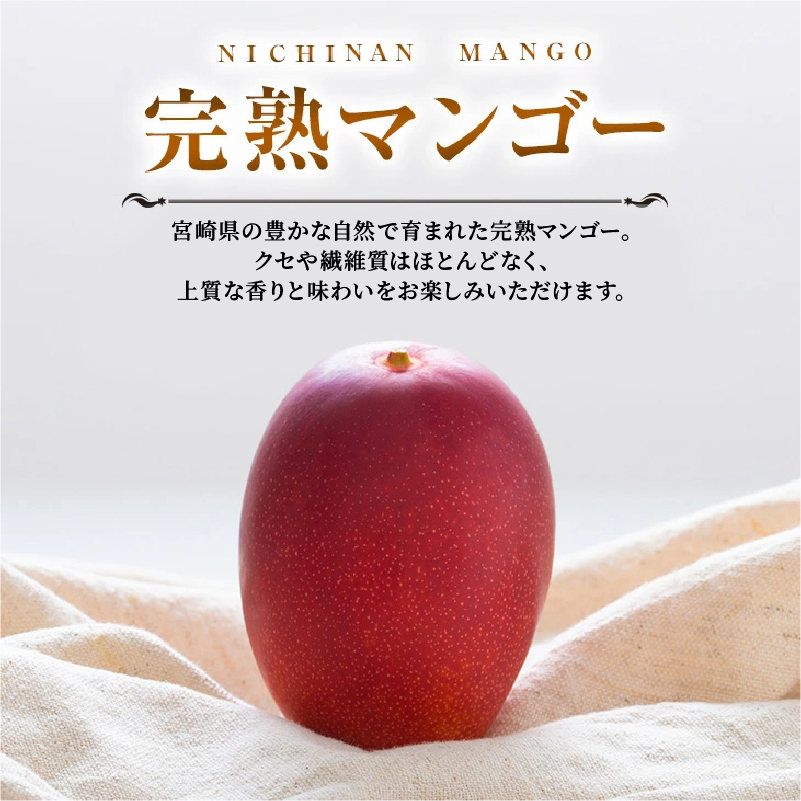 ≪玉数が選べる≫ みやざき 完熟マンゴー 3Lサイズ 期間限定 数量限定 1玉 2玉 マンゴー 宮崎 フルーツ 果物 くだもの 国産 食品 先行予約 2026 令和8年発送 濃厚_S-BB145-24