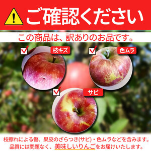 【2025年先行予約】訳あり サンふじ 約4～4.5kg ｜ 東印平林農園 リンゴ りんご 林檎 果物 くだもの フルーツ 果実 果汁 サンフジ サンふじ エコファーマー 長野県 松川村 信州