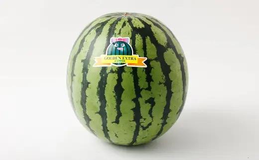 ＜ R8年熊本地震復興支援 ＞熊本うえきスイカ 1玉 （ 約10kg ） スイカ すいか 西瓜 大玉スイカ 大玉 果物 くだもの フルーツ 果実 果肉 国産 熊本県産 甘み 【 2027年4月上旬から