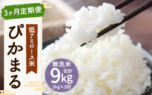【 新米先行予約 】【 3ヶ月定期便 】低アミロース米 ぴかまる 3kg×3回 合計9kg 無洗米 米 お米 白米 福岡県 筑後市 【2026年11月上旬より順次発送開始予定】