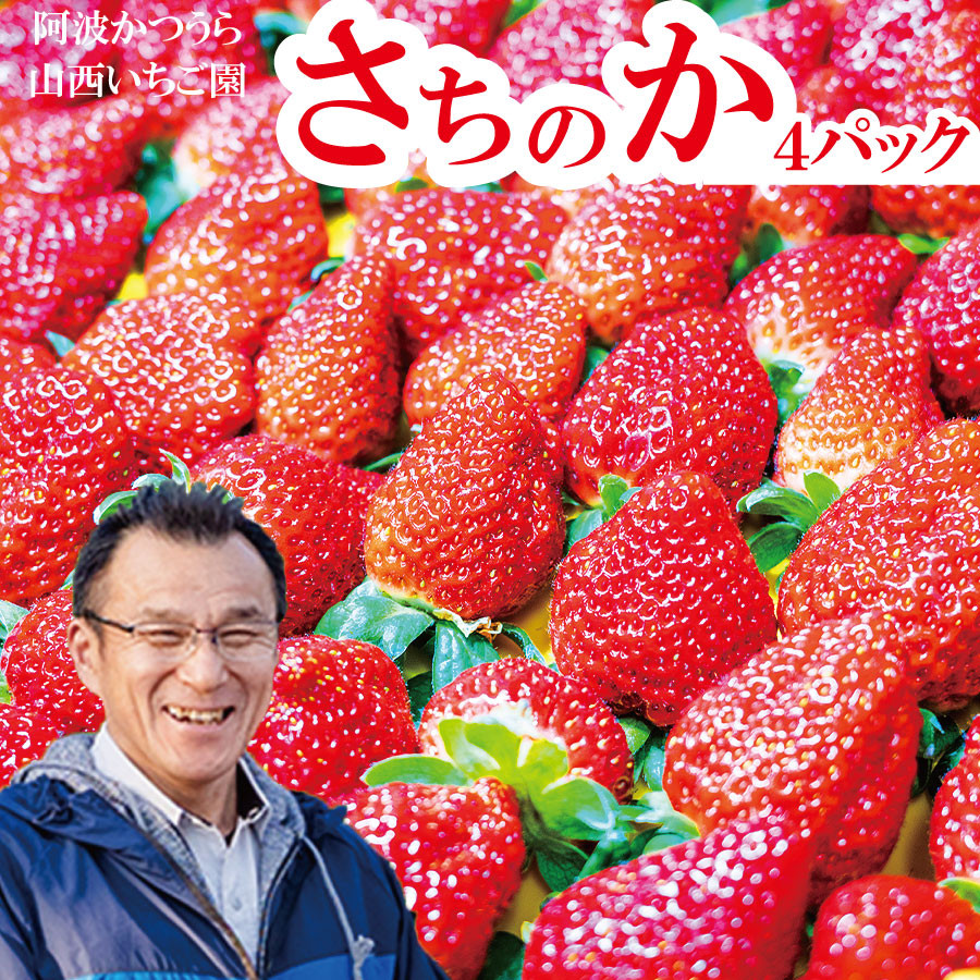 
            山西いちご園 さちのか 4P
          