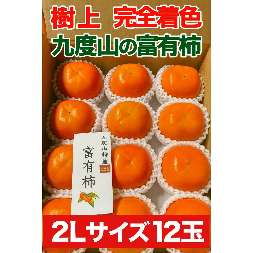 【ふるさと納税】【選べるサイズ】こだわりの樹上完全着色「九度山の富有柿」 2Lサイズ or 3Lサイズ | フルーツ 果物 くだもの 食品 人気 おすすめ 送料無料