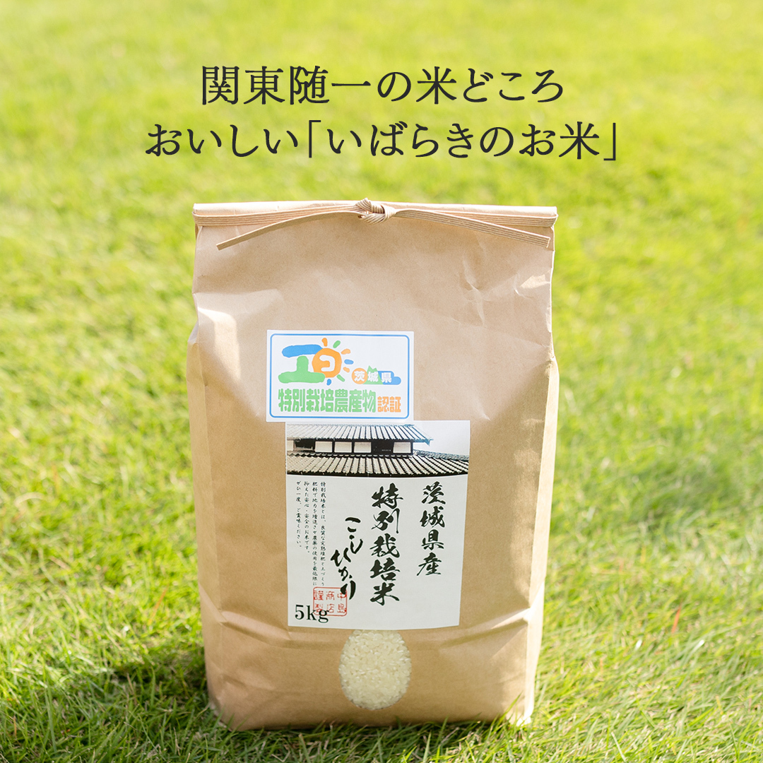 ＜ 新米 ＞ 令和7年産 茨城県産 玄米 特別栽培米 コシヒカリ 5kg （5kg×1袋） こしひかり 米 コメ こめ 単一米 限定 茨城県産 国産 美味しい お米 おこめ おコメ[EH35-NT]_